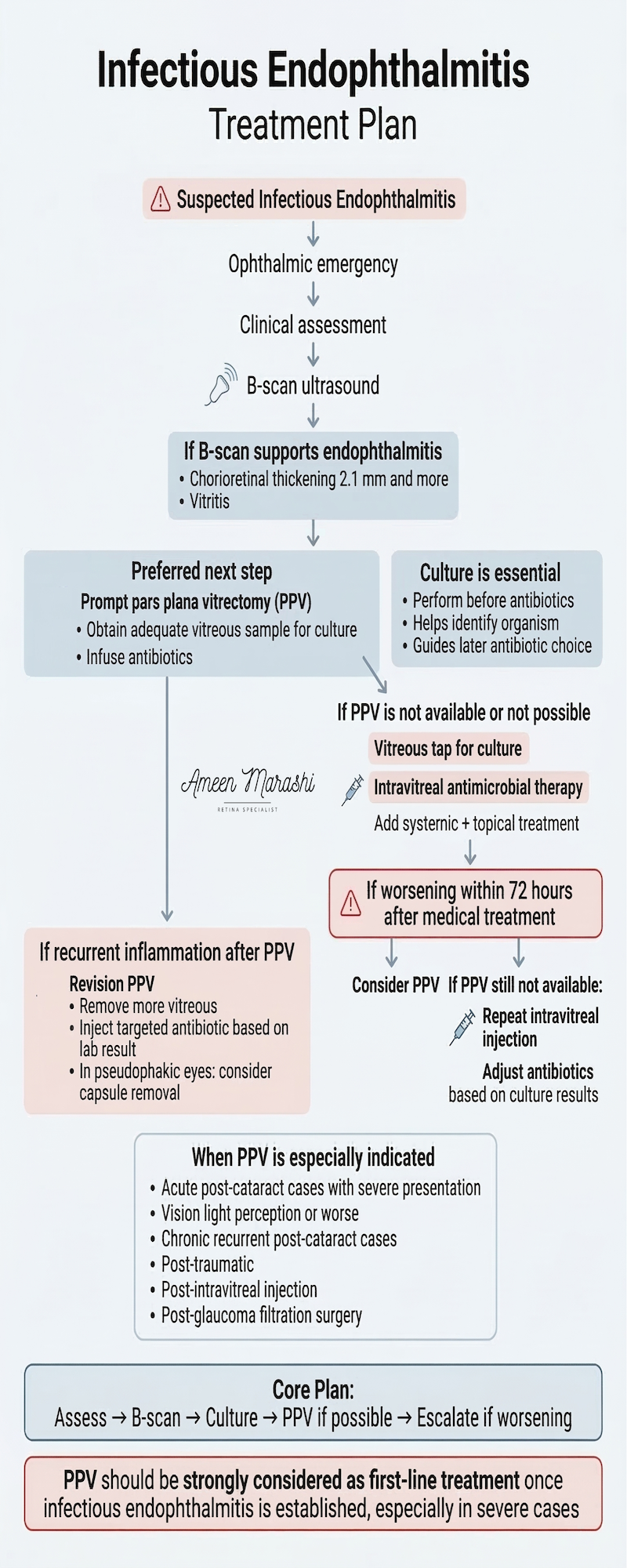 Endophthalmitis Treatment Plan